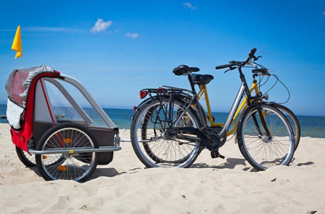 Can a Beach Cruiser Pull a Bike Trailer?(5 Helpful Example)