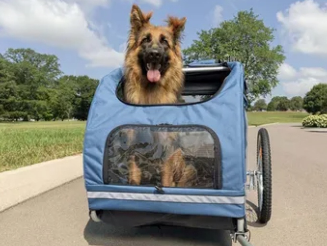 Top 5 Best Bike Trailers For Small Dogs with reviews